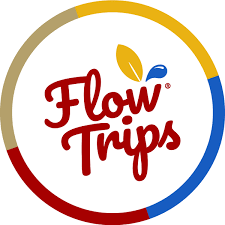 Logo Flowtrips