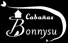Logo bonnysu