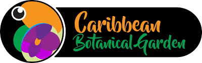 Logo carribean botanical