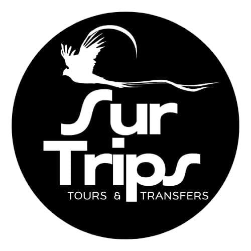 Logo surtrips