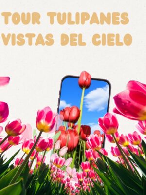 Tour Tulipanes – Vistas del Cielo por persona