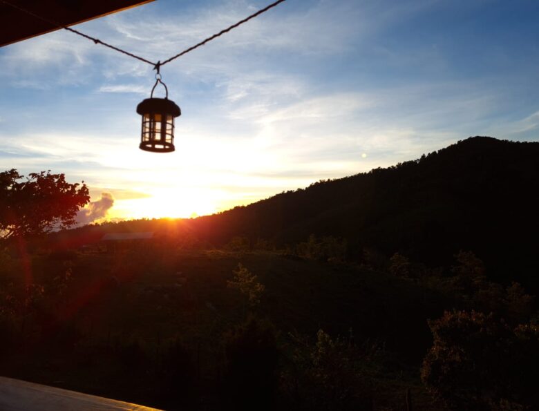 🌴 Caminos del PacĂfico – Puntarenas - 9 dĂas / 8 noches - Imagen 5